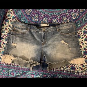 Torrid cut off shorts with lace